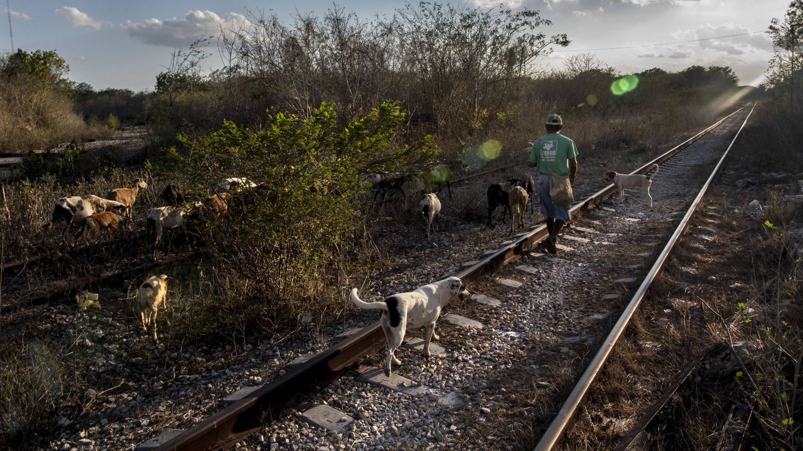 Bahngleise in der Nähe der Stadt Valladolid, Yucatán.